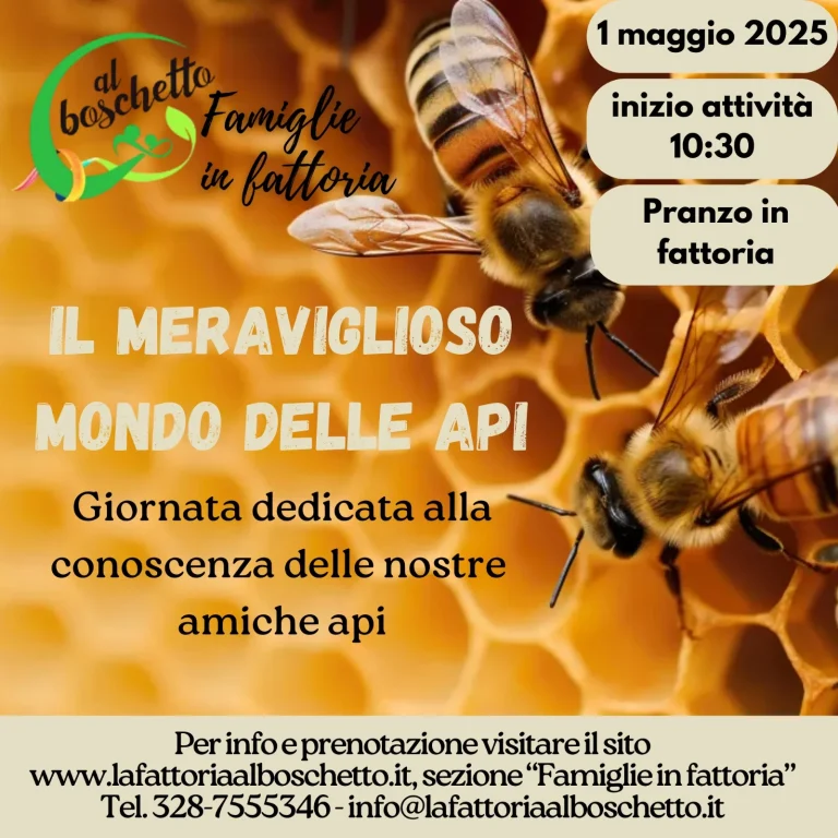 2025.05.01 Il meraviglioso mondo delle api